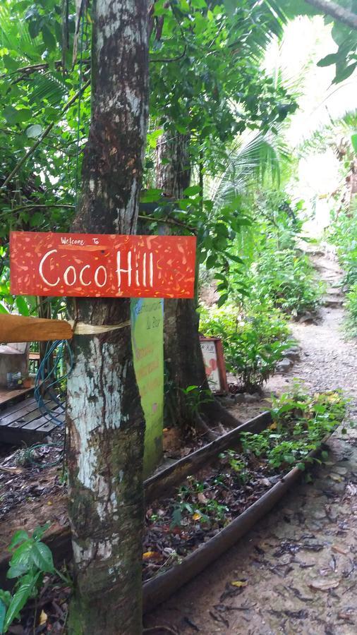 Coco Hill Hotell Bastimentos Exteriör bild